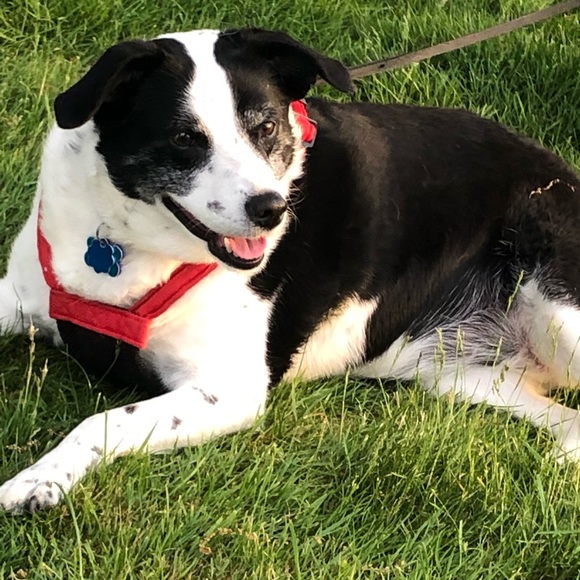 Thank you for visiting! Please come back! Jasna. - Picture 9 of 9